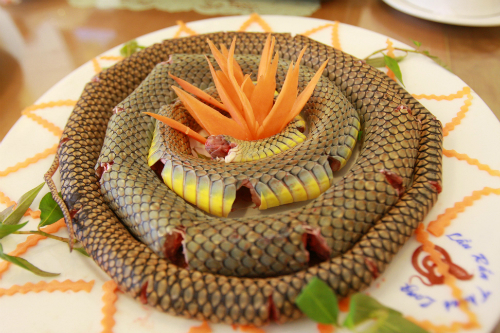 Thịt rắn thơm ngon, bổ dưỡng. Ảnh: Xuanchu.com